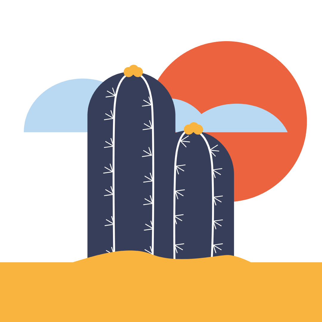 Proyecto para Mahostly ilustración cactus